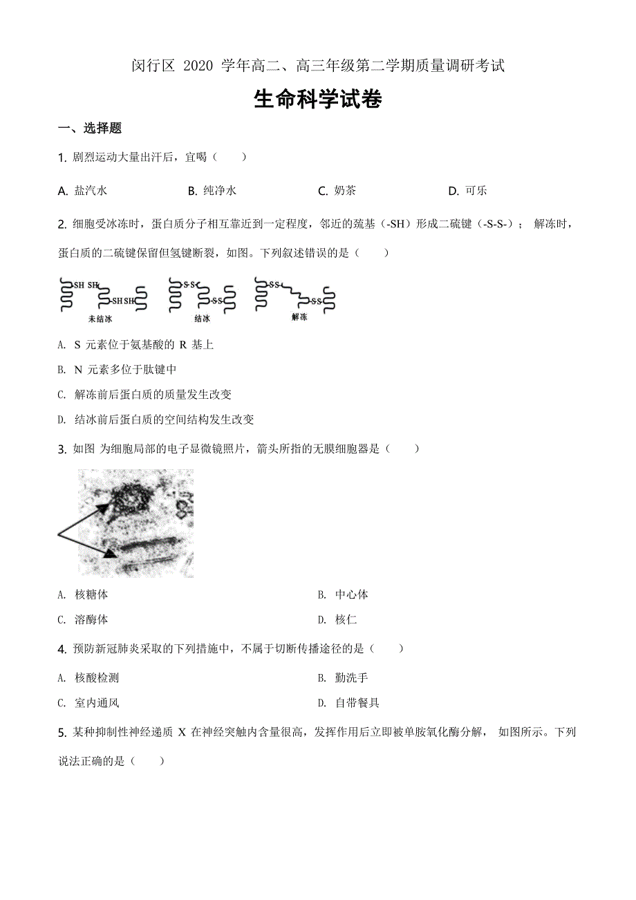 2021届上海市闵行区高三二模生物试题（Word原卷版）_第1页