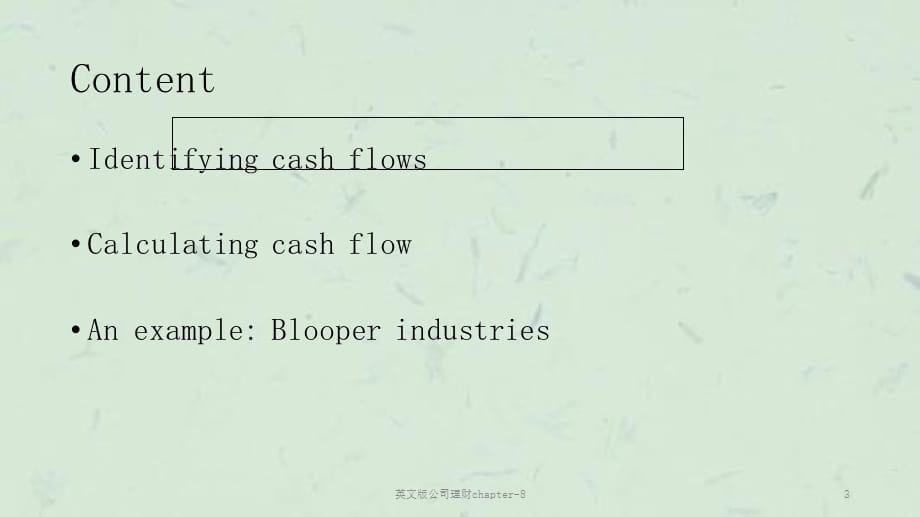 英文版公司理财chapter-8课件_第3页