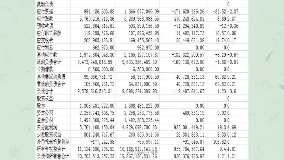 资产负债表分析报告课件_第5页