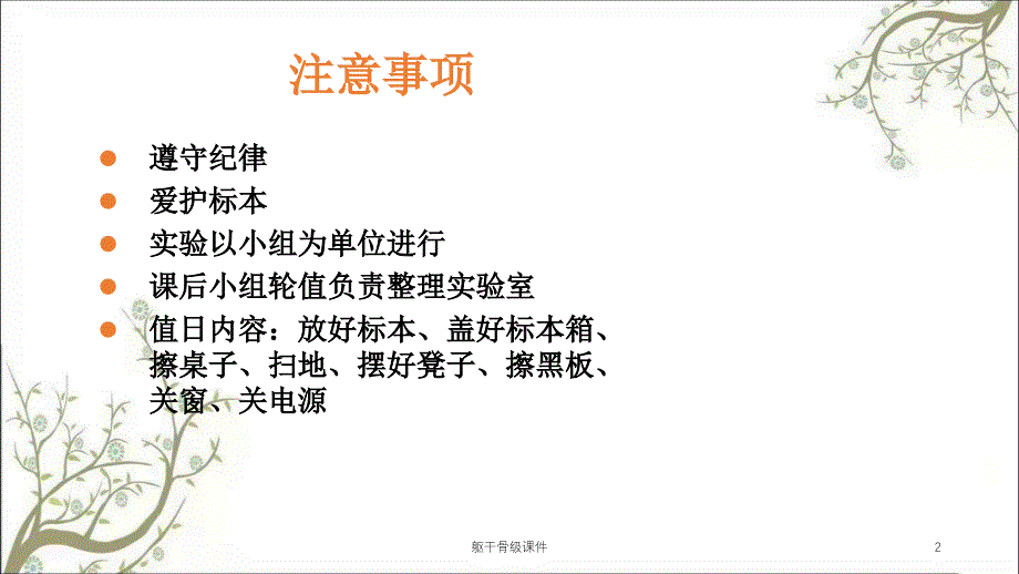 躯干骨级课件_第2页