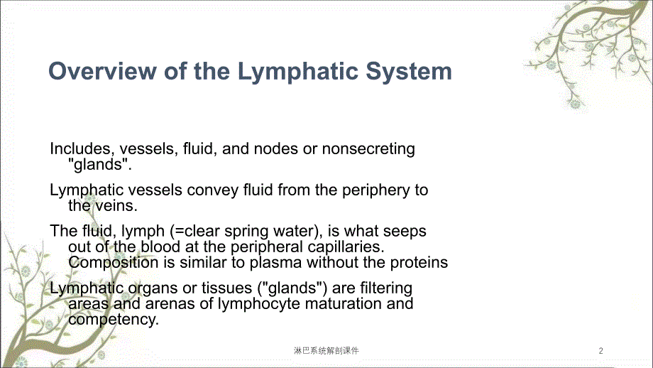 淋巴系统解剖课件_第2页