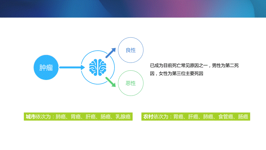 医学教学课件之肿瘤的概述教育PPT课件_第3页