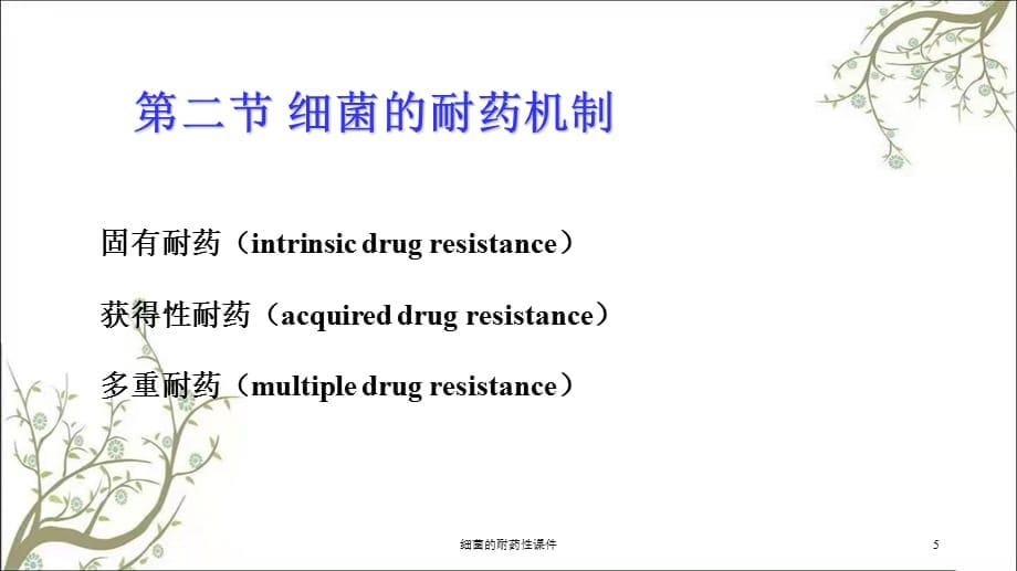 细菌的耐药性课件_第5页