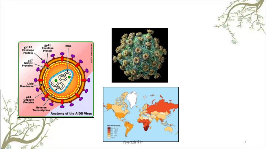 病毒免疫课件_第3页