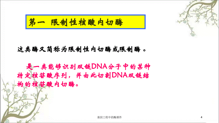 基因工程中的酶课件_第4页