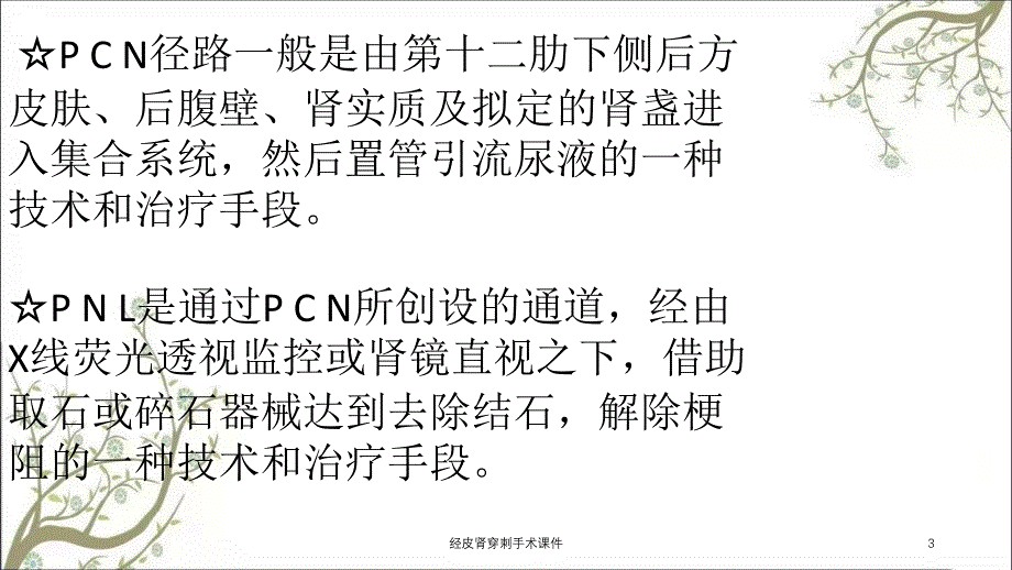 经皮肾穿刺手术课件_第3页