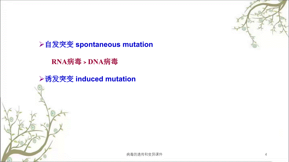 病毒的遗传和变异课件_第4页