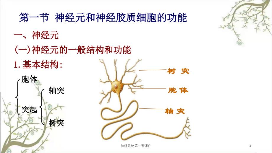 神经系统第一节课件_第4页