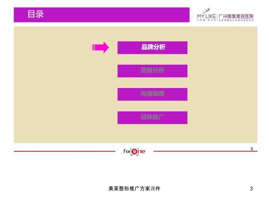 美莱整形推广方案课件_第3页