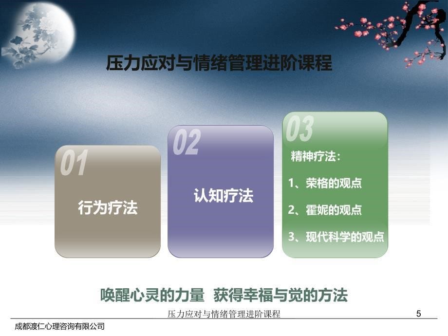 压力应对与情绪管理进阶课程课件_第5页