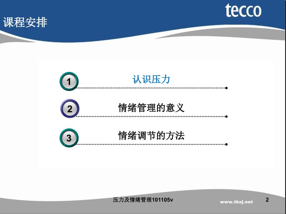 压力及情绪管理101105v课件_第2页