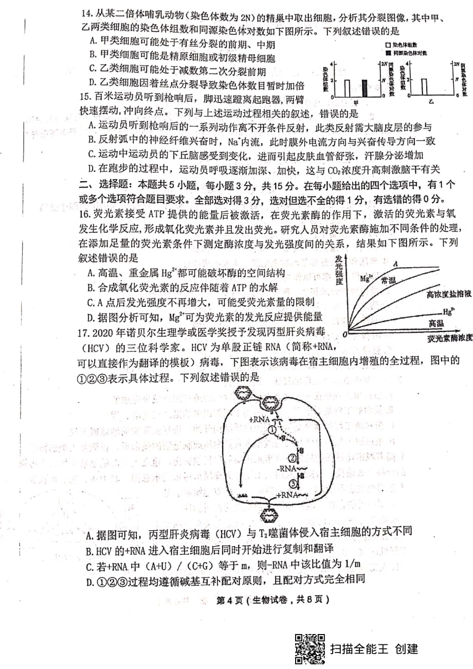 2021届辽宁省大连市高三第二次模拟考试生物试题_第4页