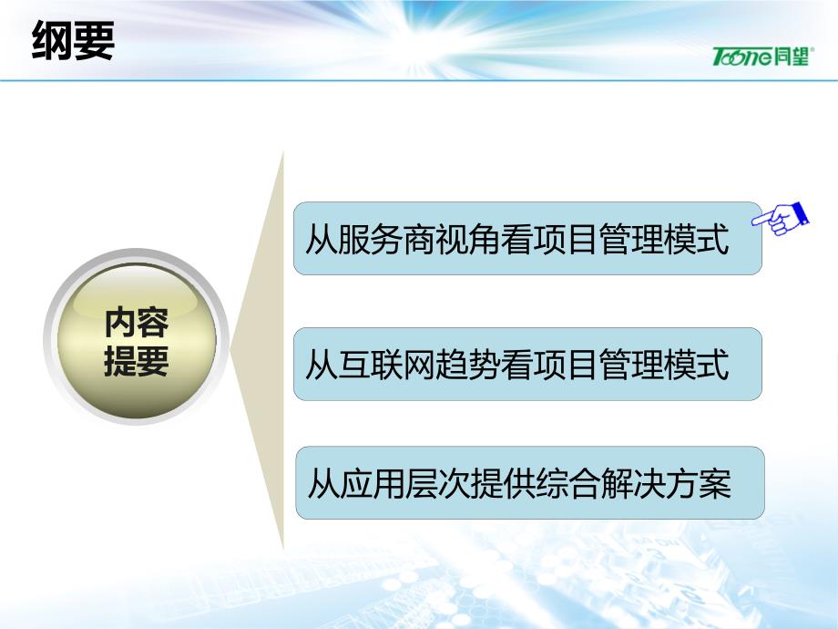 [精选]互联网时代的工程项目管理-同望科技_第2页