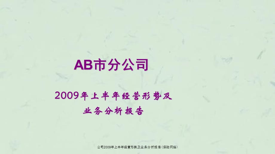 公司2009年上半年经营形势及业务分析报告(保险网络)课件_第1页