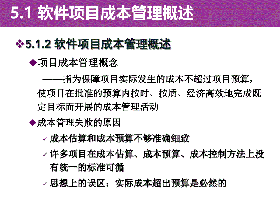 [精选]第六章软件项目成本管理_第3页