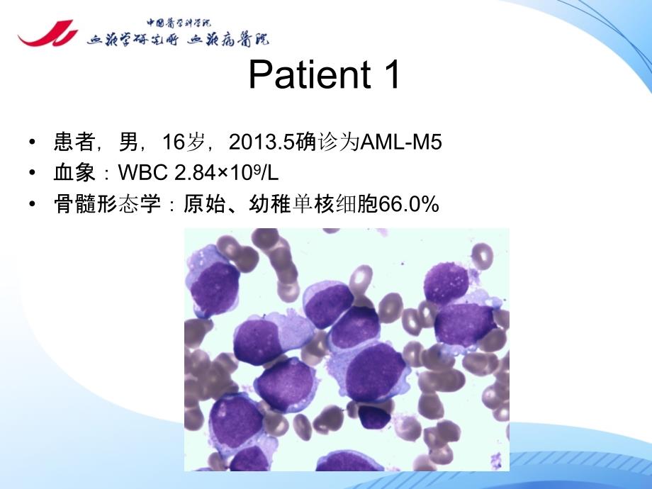 医院管理学习：两例急性髓系白血病诊疗报告中国医学科学院血液病医院实践（PPT课件）_第2页