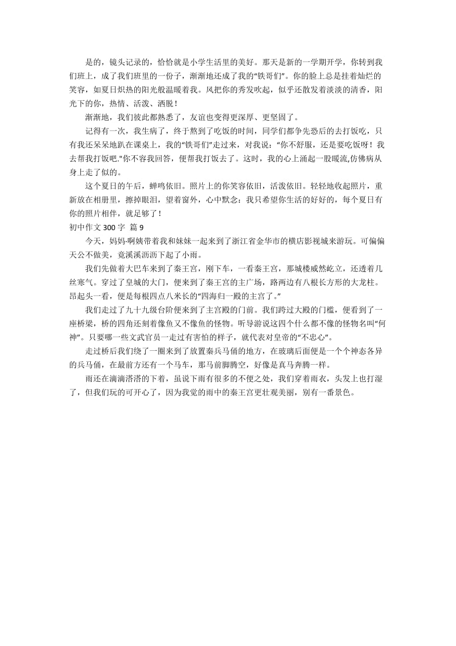 有关初中作文300字汇总九篇_第4页