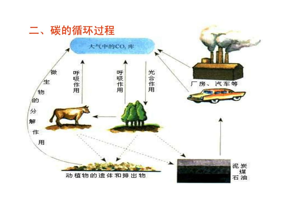 p《生态系统的物质循环》文科(_第4页