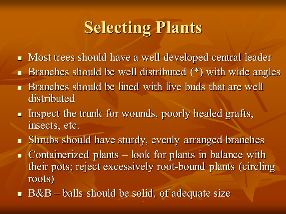 Maintenance of Trees &ampamp; Shrubs - K-State Research and Extension维护树木和灌木-状态的研究与推广_第4页