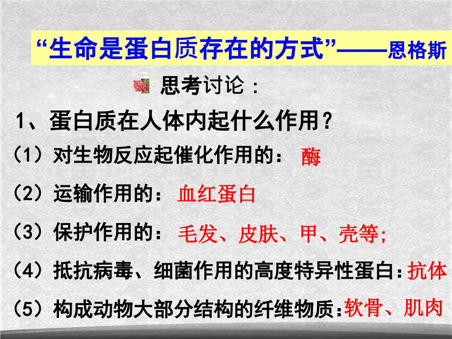 人教版化学选修5课件：4-3-2《蛋白质和核酸》（27张ppt）[精选]_第4页