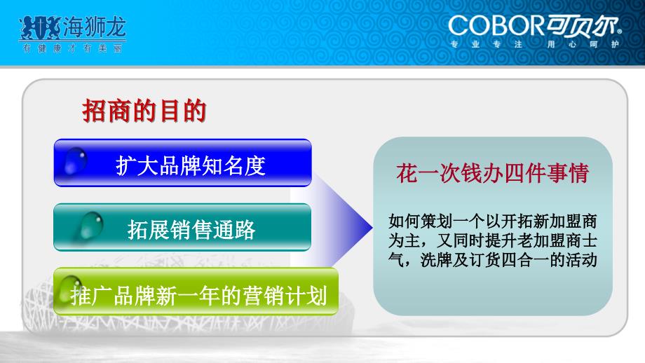 [精选]总代理如何举办一场成功的招商会_第4页