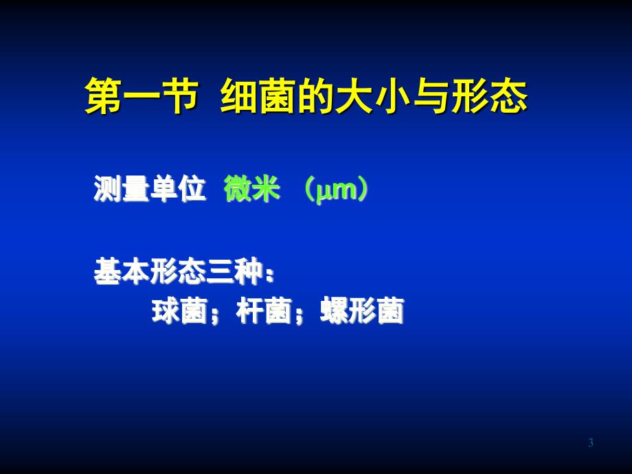 微生物学第01章细菌的形态与结构课件_第3页