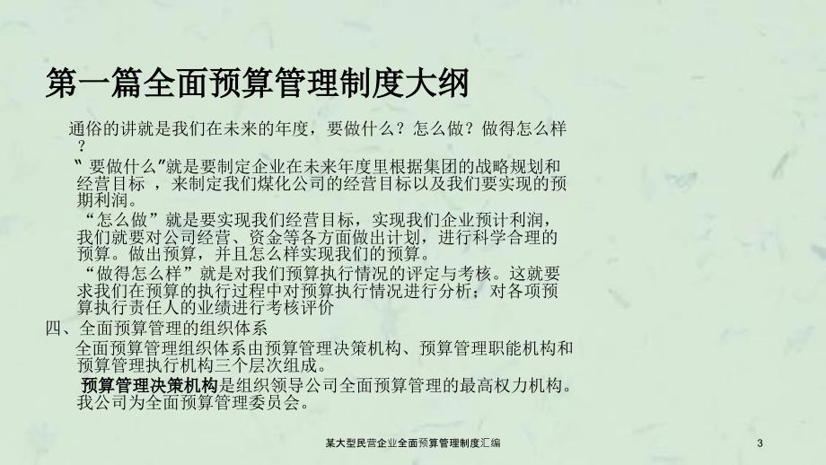 某大型民营企业全面预算管理制度汇编课件_第3页