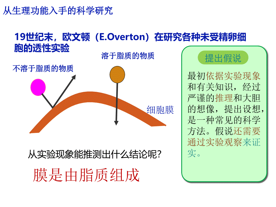 生物膜的流动镶嵌模型(9)课件_第4页