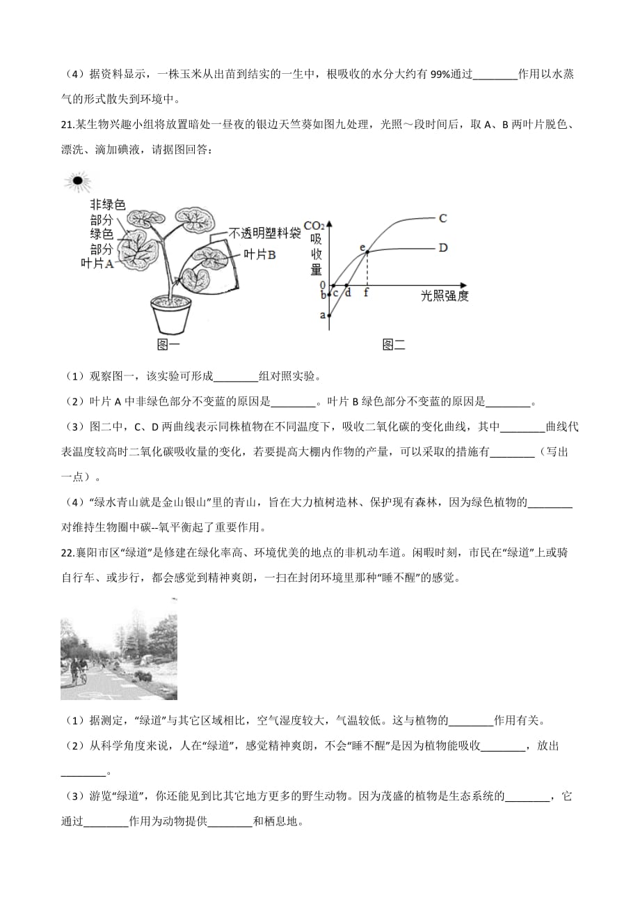 2021年中考生物一轮复习专项训练：绿色植物在生物圈中的作用_第4页