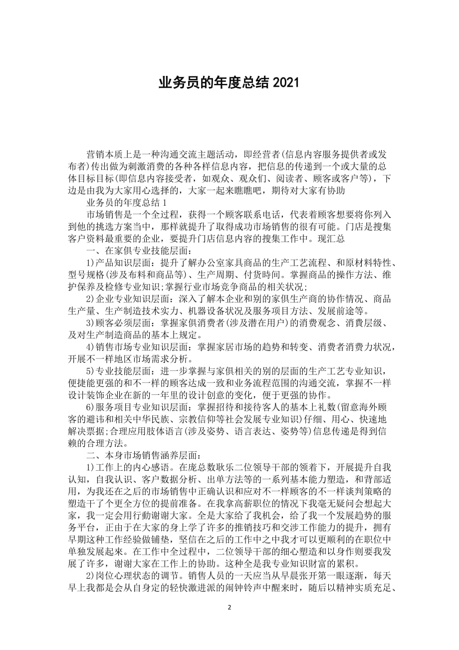 业务员的年度总结2021_第2页