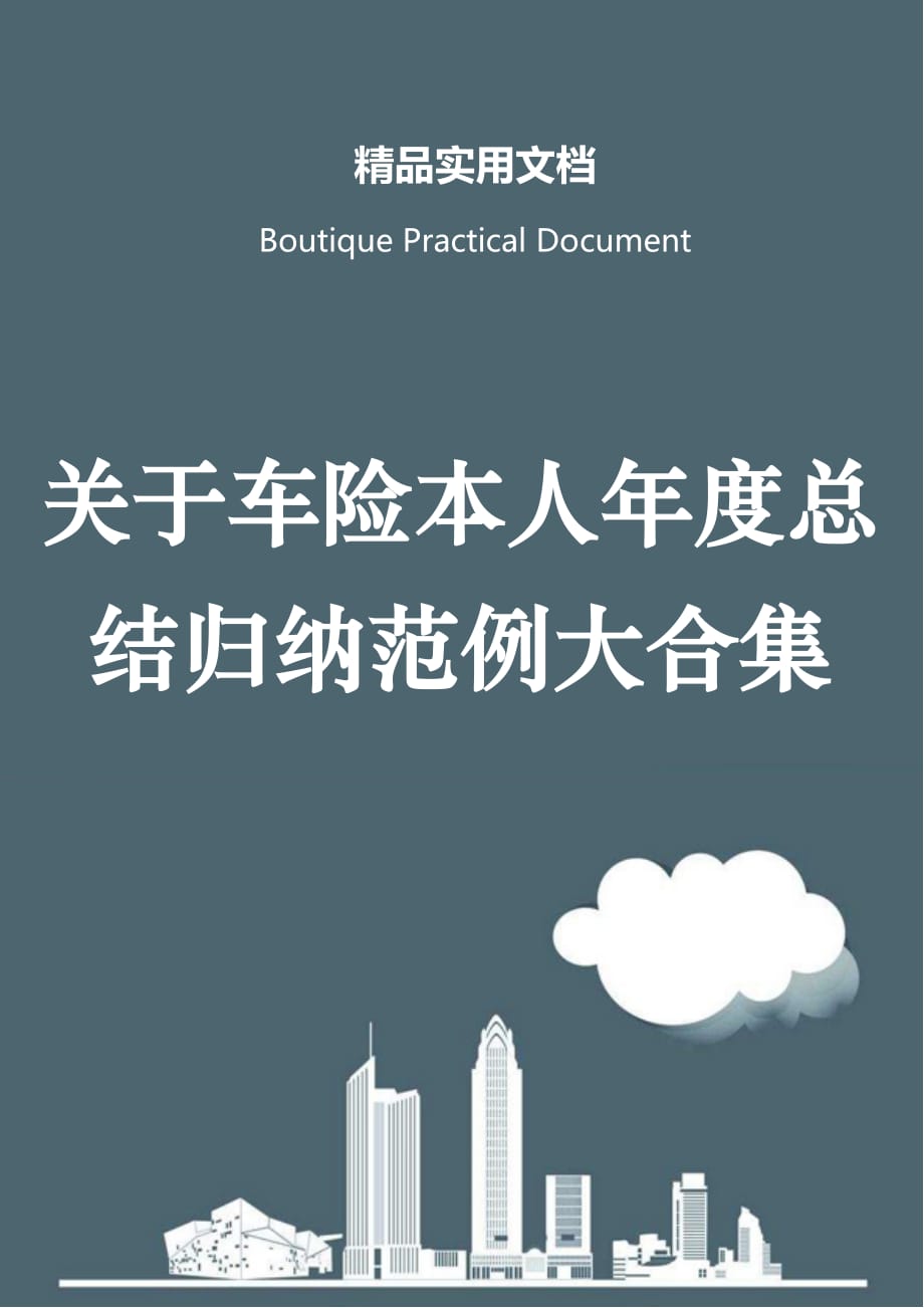 关于车险本人年度总结归纳范例大合集_第1页