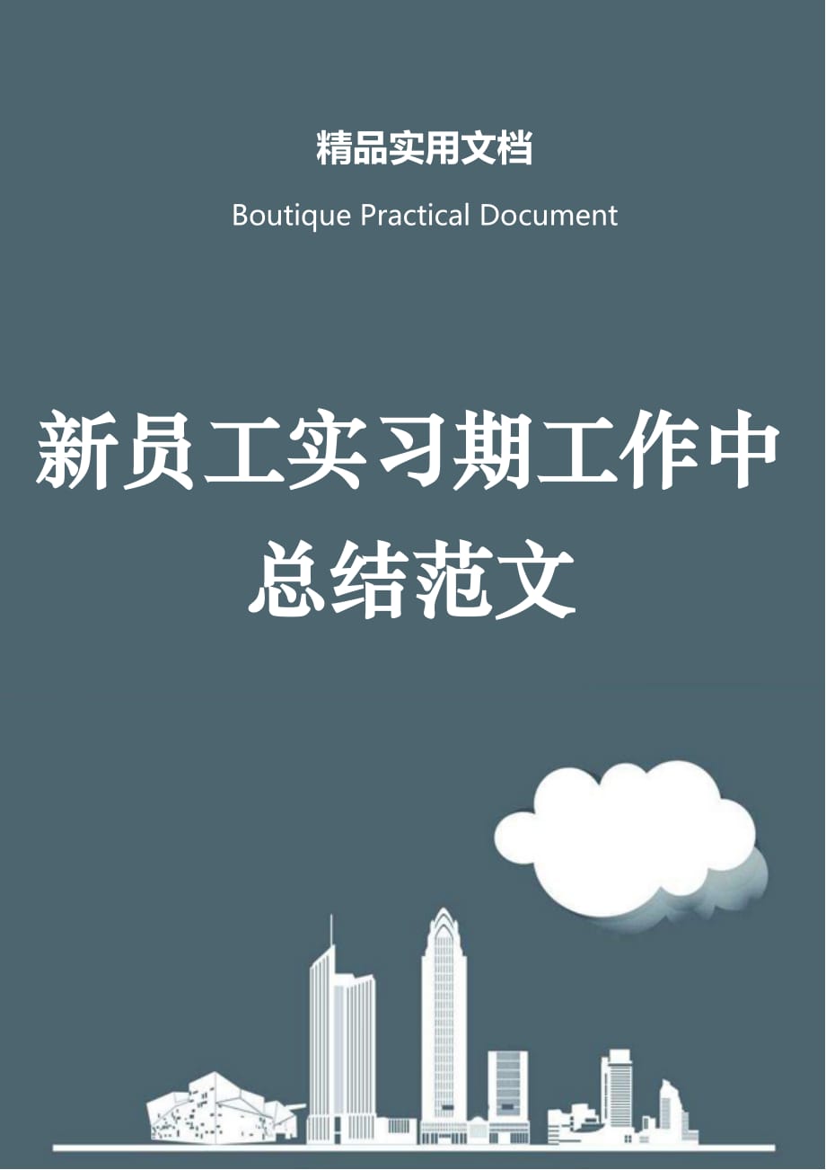 新员工实习期工作中总结范文_第1页