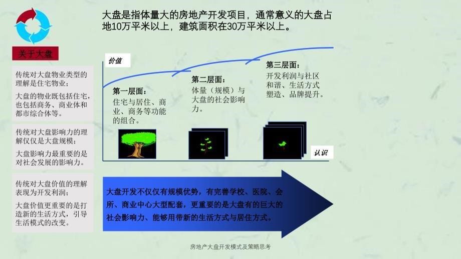 房地产大盘开发模式及策略思考课件_第5页