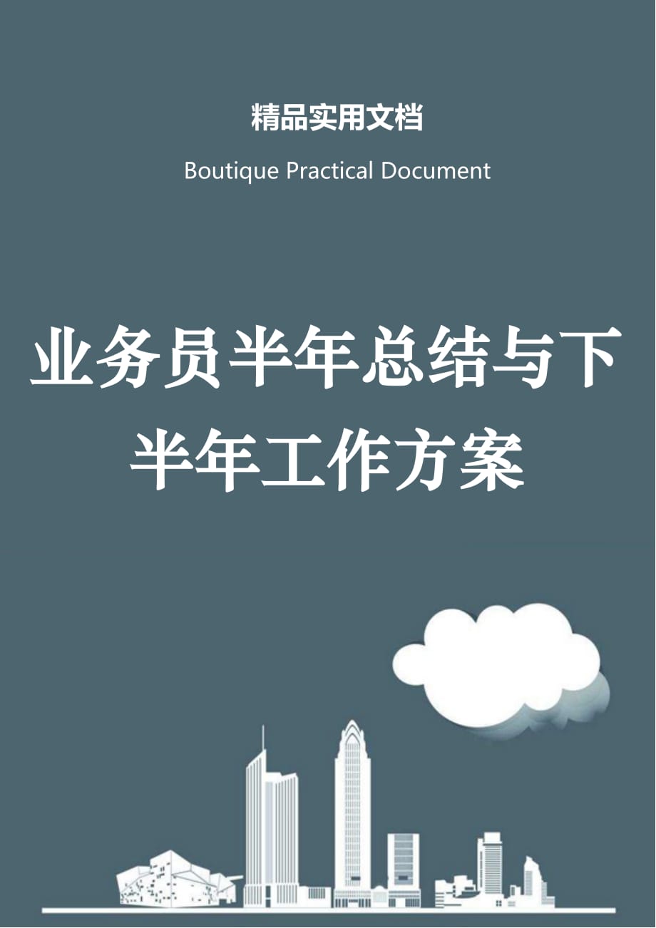 业务员半年总结与下半年工作方案_第1页