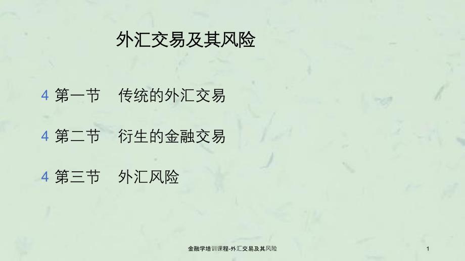 金融学培训课程-外汇交易及其风险课件_第1页