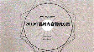 【服装策划】2019陌森内容营销方案