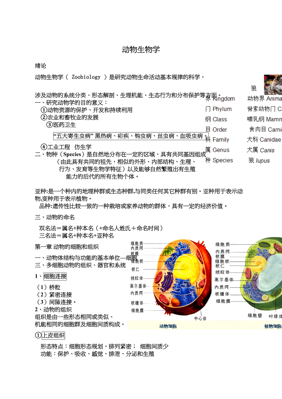 动物生物学内容详而精_第2页