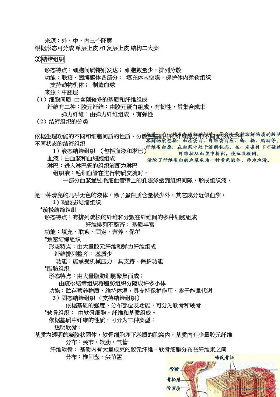 动物生物学内容详而精_第3页