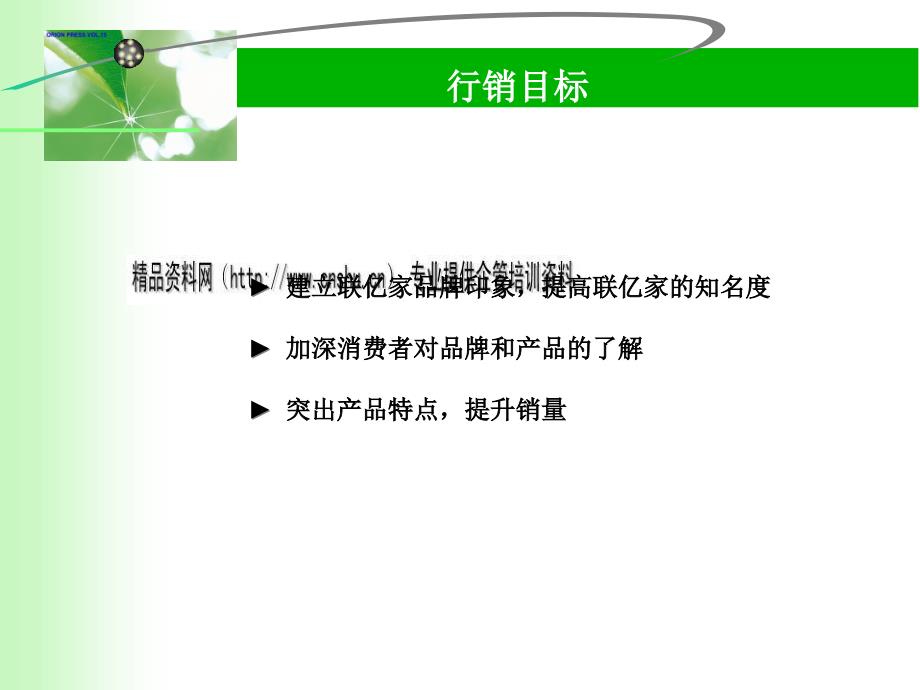 [精选]试谈联亿家印象推广计划_第2页