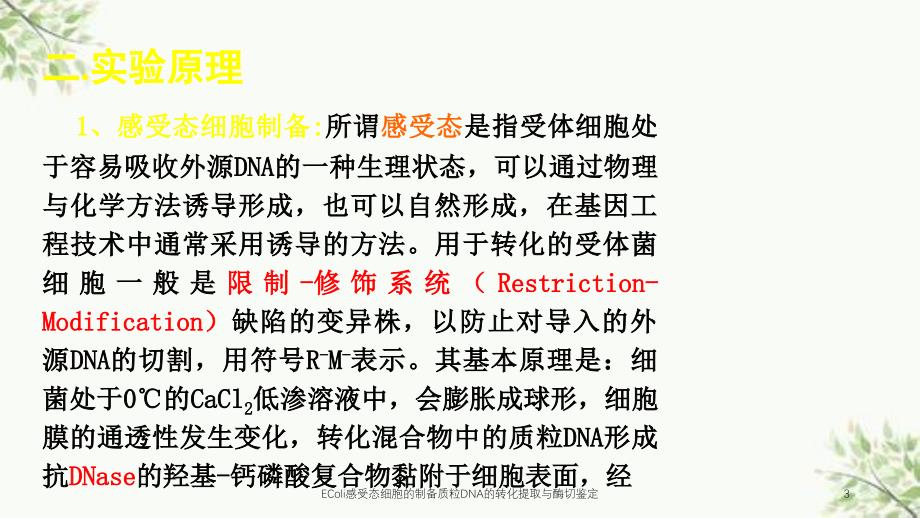 EColi感受态细胞的制备质粒DNA的转化提取与酶切鉴定课件_第3页