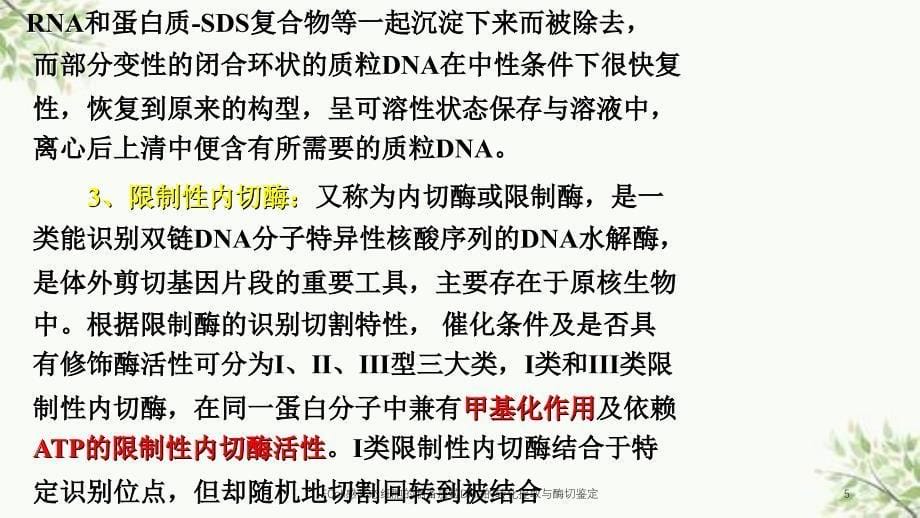 EColi感受态细胞的制备质粒DNA的转化提取与酶切鉴定课件_第5页