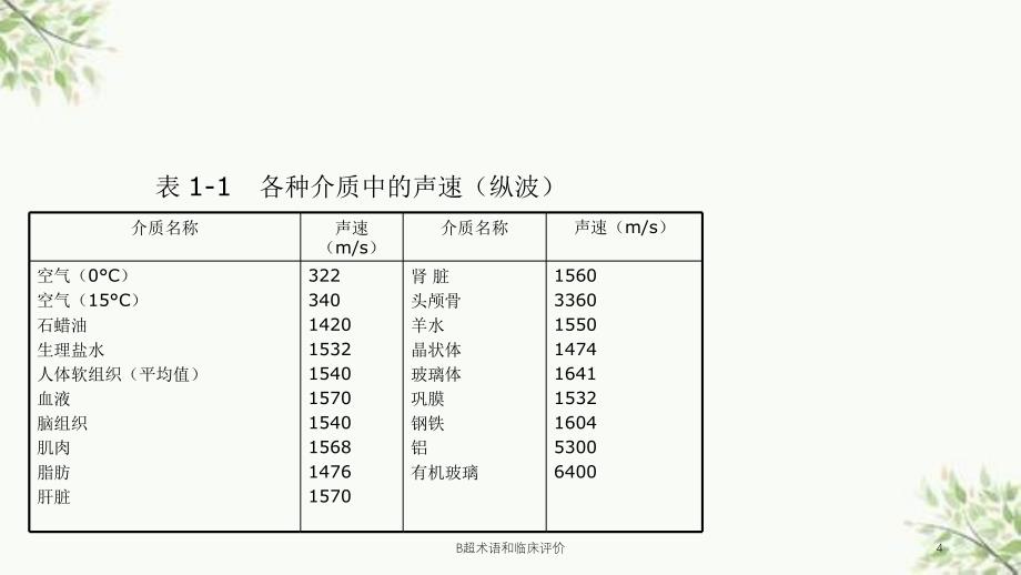 B超术语和临床评价课件_第4页