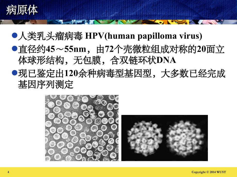 《皮肤病学之疣》_第4页