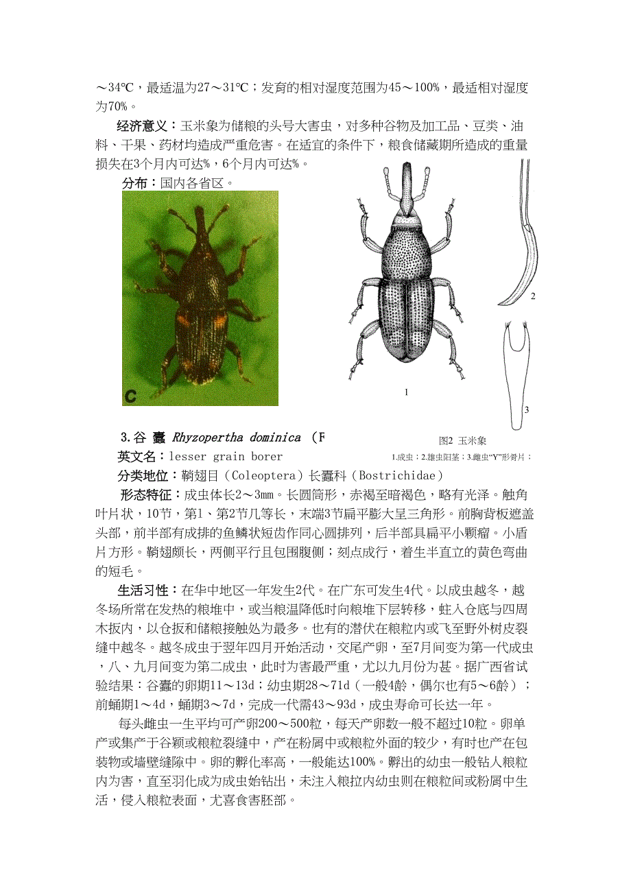 常见重要储粮害虫种_第4页