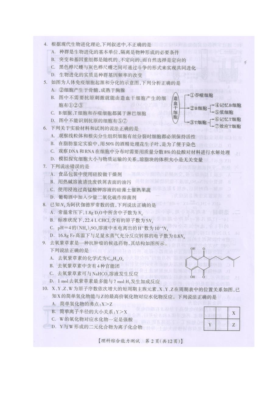 广西桂林、崇左市2021届高三第二次联合模拟考试理科综合试题含生物化学物理答案_第2页