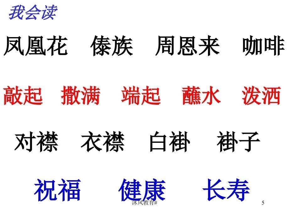 人教版语文二年级下册11《难忘的泼水节》【谷风教学】_第5页