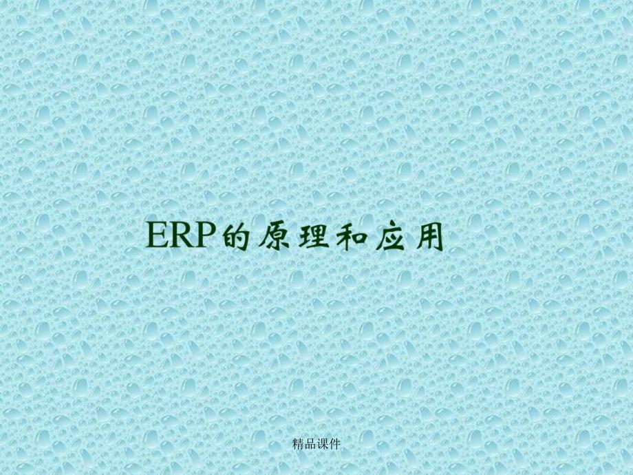 ERP的原理和应用_第1页