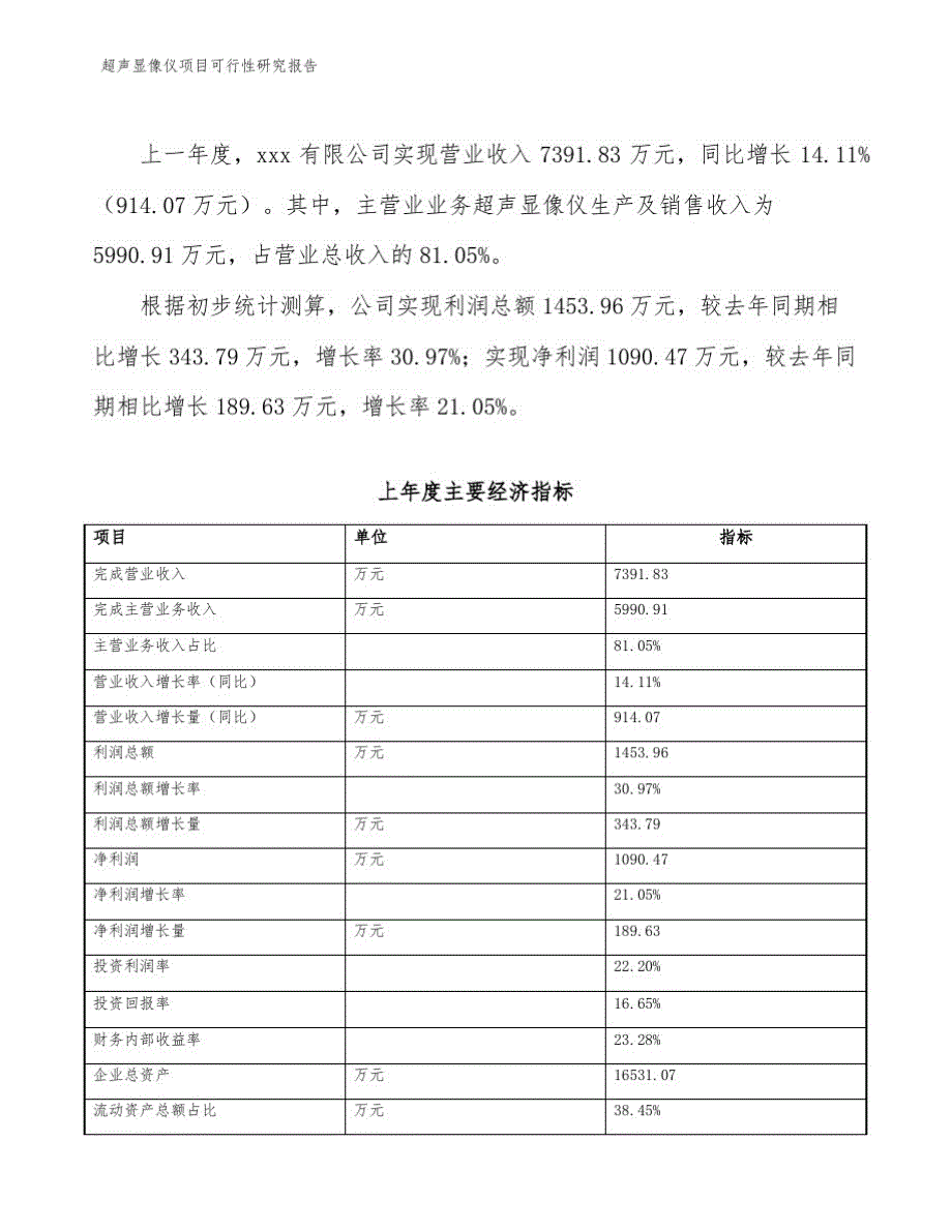 超声显像仪项目可行性研究报告_第4页