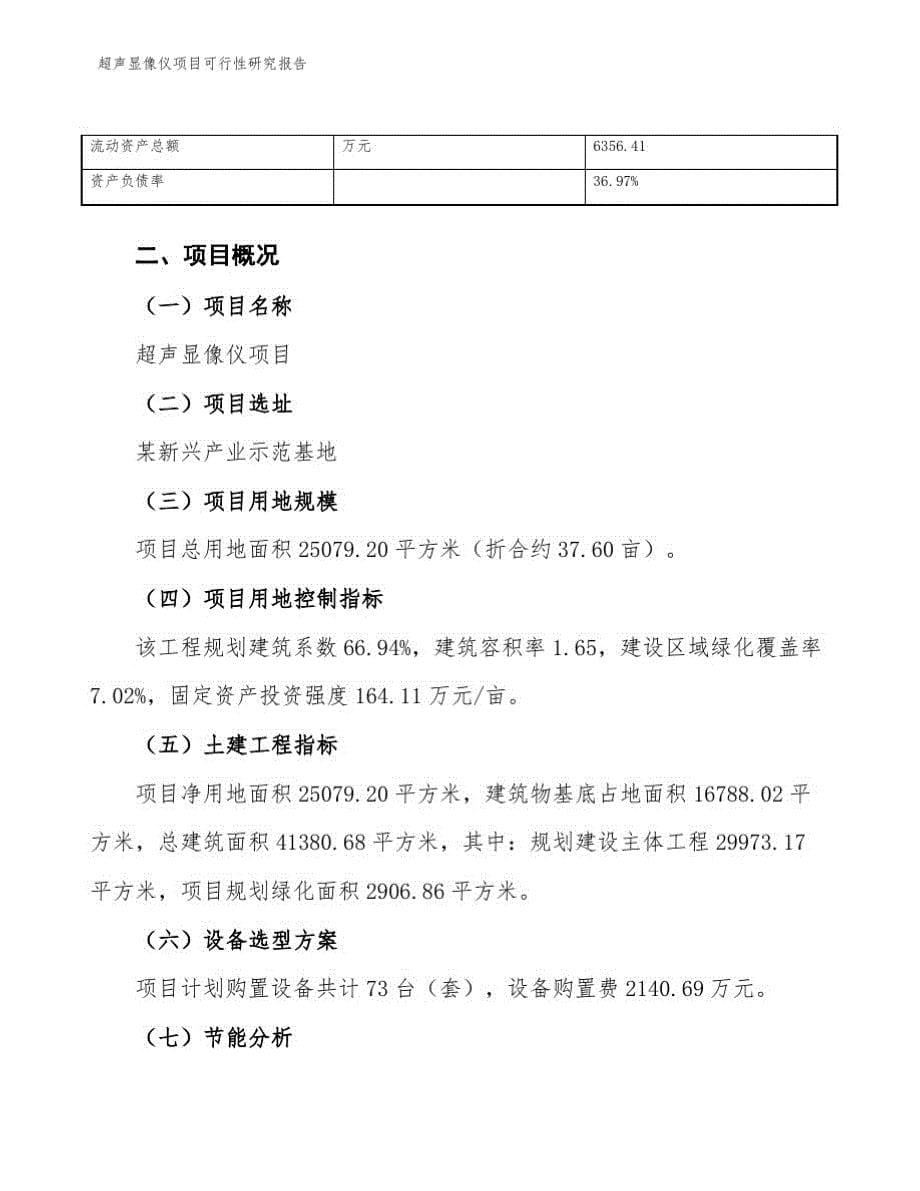 超声显像仪项目可行性研究报告_第5页