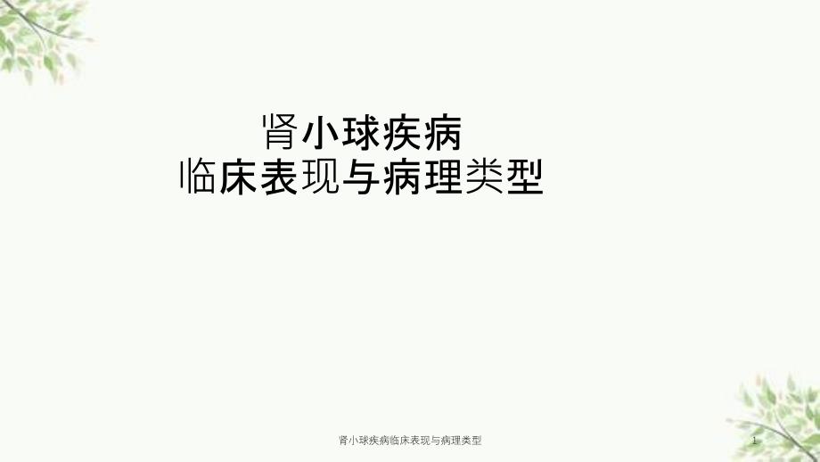 肾小球疾病临床表现与病理类型课件_第1页